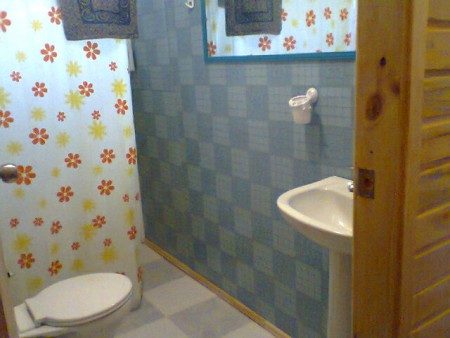 Baño de ceramicos